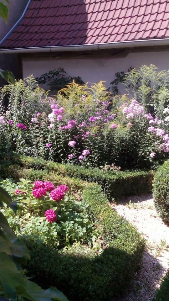 Appartamento Haselbachstrasse 6 Ebensfeld Esterno foto